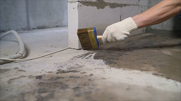 SJ Waterproofing Pros Waterproofing coverage map for Mentone, AL and surrounding area